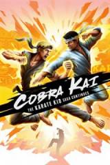 Cobra Kai: The Karate Kid Saga Continues SWITCH