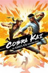Cobra Kai: The Karate Kid Saga Continues PC