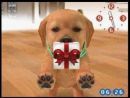 Nintendo lanzará en Japón 3 versiones distintas de Nintendogs