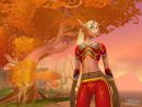 Detalles de World of Warcraft Burning Crusade