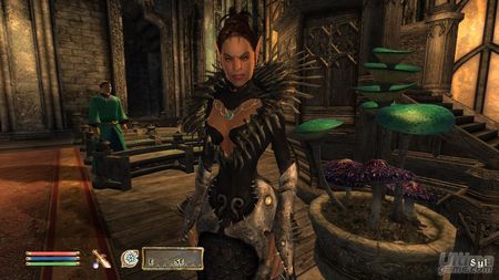 Demencia y Mana, los secretos de The Elder Scrolls IV Oblivion Shivering Isles al descubierto