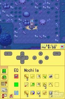 Harvest Moon DS, al descubierto con capturas de la versin espaola