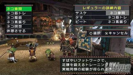 Monster Hunter Freedom 2nd G nos desvela parte de su nuevo arsenal en imgenes