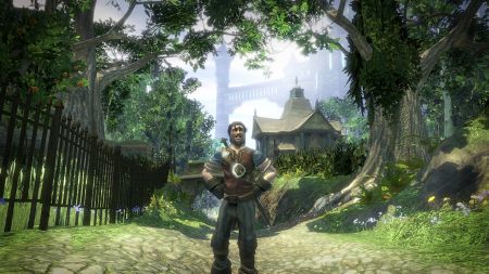 Fable 2 - Descubre todos los secretos de los juegos descargables y la edicin coleccionista.