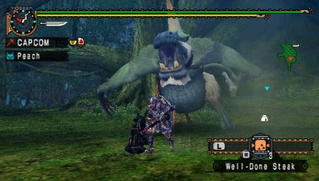 Monster Hunter Freedom 2nd G nos desvela parte de su nuevo arsenal en imgenes