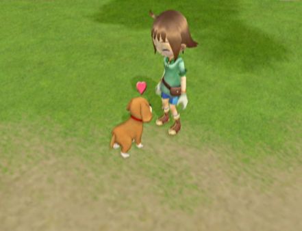 Un vdeo y nuevas imgenes de Harvest Moon Heroes para Wii