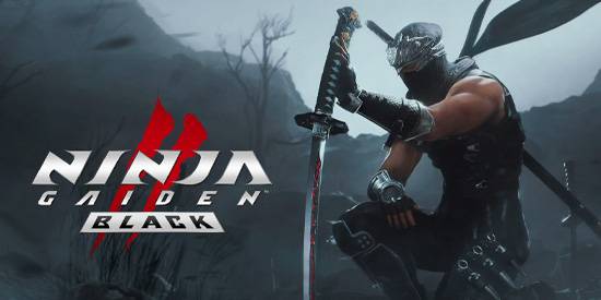 Ninja Gaiden 2 Black