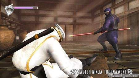 Accin "Ninja Gaiden" en estado puro