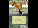 Anuncio japonés de Nintendogs