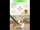 Primeras imágenes de Nintendogs