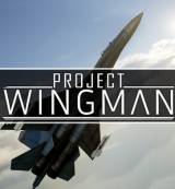 Project Wingman PC