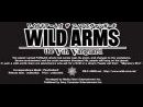 imágenes de Wild Arms 5 Series 10th Anniversary Edition